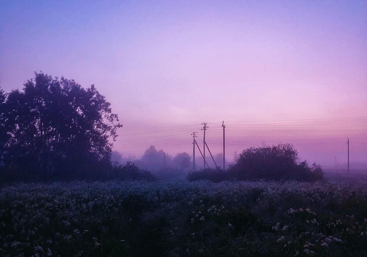 华体会APP：让体育融入日常的全新入口